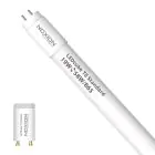 Noxion LED Röhre T8 Avant (EM/Mains) Standard Output 22W 2300lm - 865 Tageslichtweiß | 150cm - Ersatz für 58W